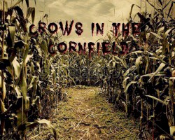 Crows in the cornfield