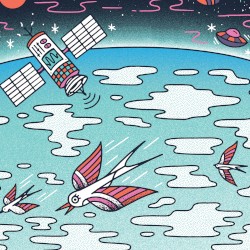 2021‐07‐31: Ameris Bank Amphitheatre, Alpharetta, GA, USA