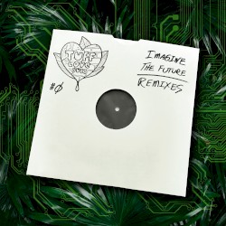 Imagine the Future Remixes