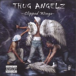 Clipped Wingz