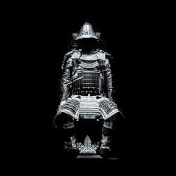 Spotlight Series: Cello