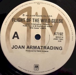 Flight of the Wild Geese