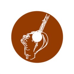 Odyssé