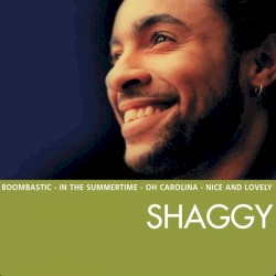 The Essential Shaggy