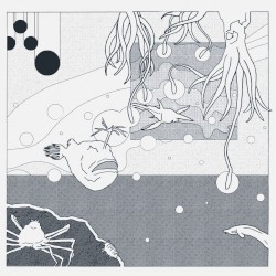 Dwellers Of The Seabed