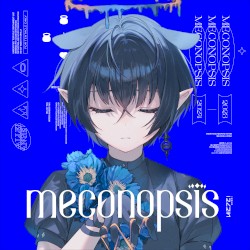 Meconopsis