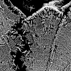 An Opera for Four Fusion Works