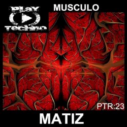 Musculo