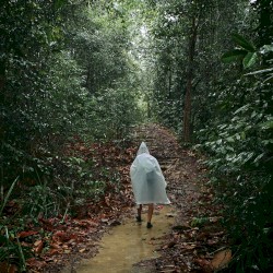 Bung Jagoi - In the Forest