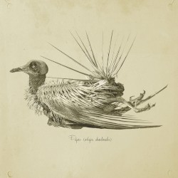 Colegios abandonados