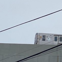 loss