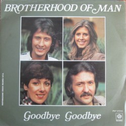 Goodbye Goodbye / Better to Have Loved