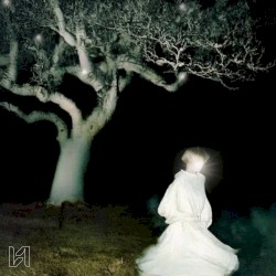 Размывает корни