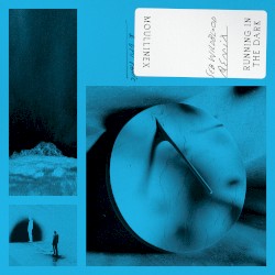Running in the Dark (Seb Wildblood remix)