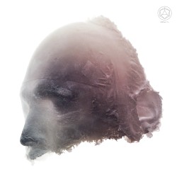 Resurgam I, Resurgam II