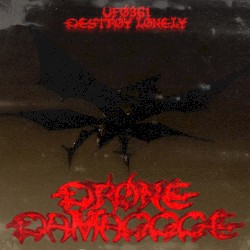 DRONE DAMAGGGE