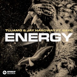 Energy