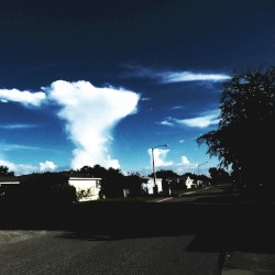 The New Home of Florida カーサヌエバ