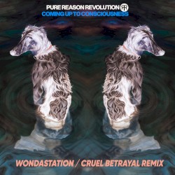 Cruel Betrayal (Wondastation Remix)