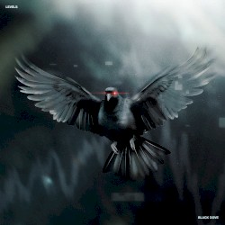 Black Dove