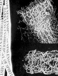 Darkness Enshrouded the Mist / Forbidden Citadel of Spirits