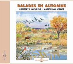 Balades en automne : Concerts naturels / Autumnal Walks