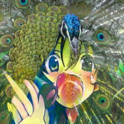 げつかーすいもく