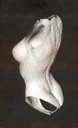 Scenes With Curved Objects