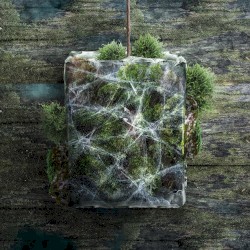 Rain on My Happy Days