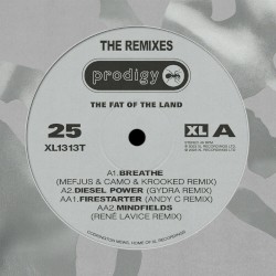 The Fat of the Land 25th Anniversary – Remixes
