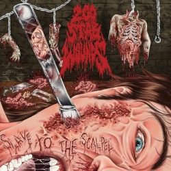 Slave to the Scalpel