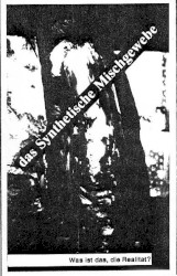 Was ist das, die Realitat?