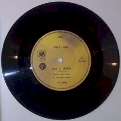 Been to Canaan / Bitter With the Sweet