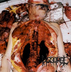 Chronic Corpora Infest