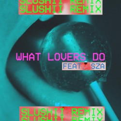 What Lovers Do (Slushii remix)