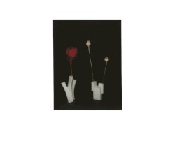 The Flower and the Vessel