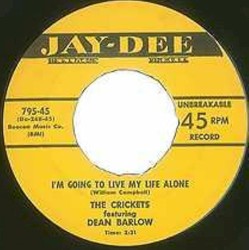 I'm Going To Live My Life Alone / Man From The Moon