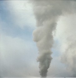 This Farm Will End Up in Fire