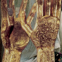 A Melbourne Nocturne