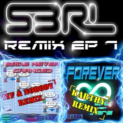 S3RL Remix EP 7
