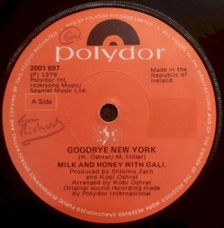 Goodbye New York / Happiness Recipe