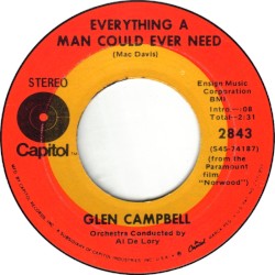 Everything a Man Could Ever Need / Norwood (Me and My Guitar)