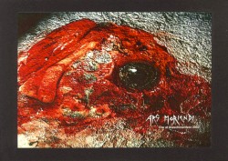 Live at Maschinenfest 2002