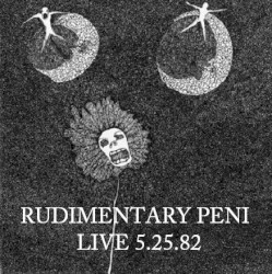 Live@Ludwick Hall 1982-05-25