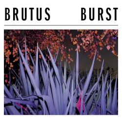 Burst