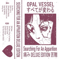 Searching for an Apparition