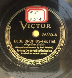 Blue Orchids / Day In‐Day Out