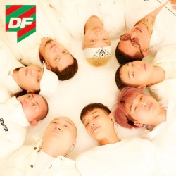 Dingo X DAMOIM (Part 2)