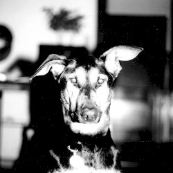 Mama Didn't Raise No Punk, I Made Myself One E.P.