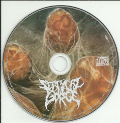 Scourge of the Formless Breed